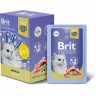 Пауч 5+1 форель в желе BRIT Premium для взрослых кошек 5055081